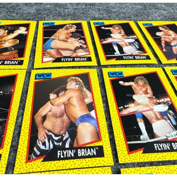 WCW 1991 Flyin Brian Trading Cards - Picture 3 of 4